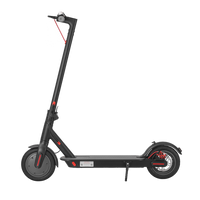 Pulse Ride Beginner E-Scooter – Lightweight, Foldable, Easy to Ride